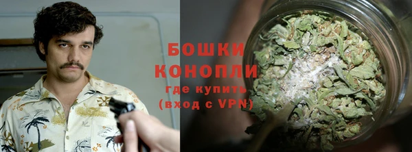гидра Корсаков
