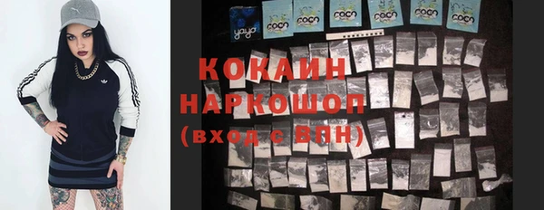 гидра Корсаков