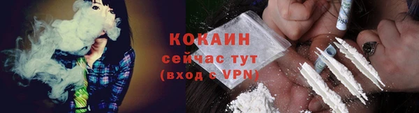 гидра Корсаков