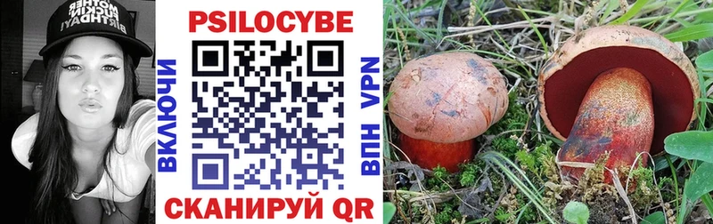 Галлюциногенные грибы Psilocybe  Купить закладки  Еманжелинск 